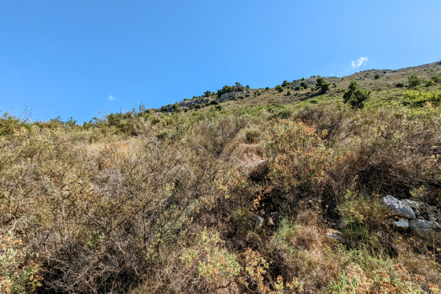 Terrain à vendre à Vence