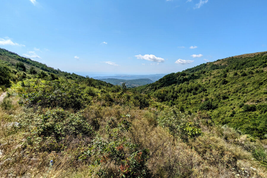 Terrain à vendre à Vence