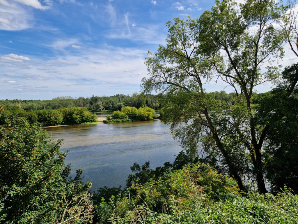 EXCEPTIONNEL TERRAIN CONSTRUCTIBLE BORD DE LOIRE – 6551 m²