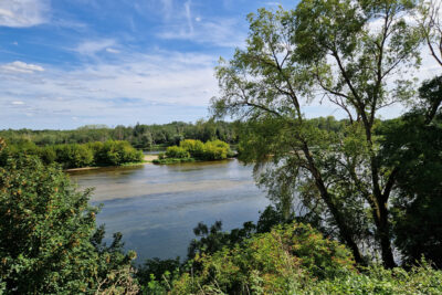 EXCEPTIONNEL TERRAIN CONSTRUCTIBLE BORD DE LOIRE – NR pièces – NR chambres – 6551 m²