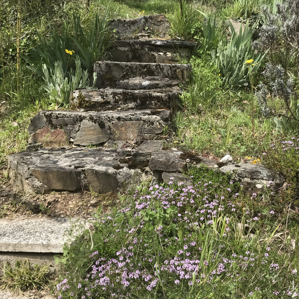 Jolie maison avec vue sur le Lot 12320 Conques-en-Rouergues – NR pièces – NR chambres