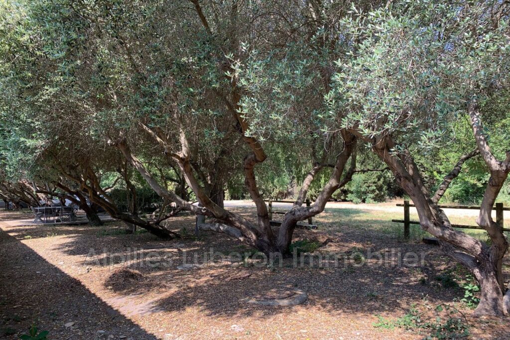 location longère 9 Pièce(s) – 9 pièces – 7 chambres – 300.00 m²