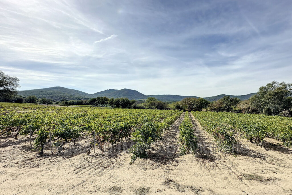 belle villa dans les vignes et sa piscine – 4 pièces – 3 chambres – 154.00 m²