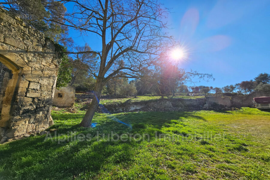 Maison à vendre à Saint-rémy-de-provence