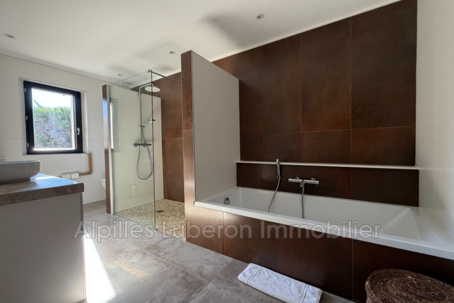 Maison à louer à Eygalières — Vue montagne — photo 29