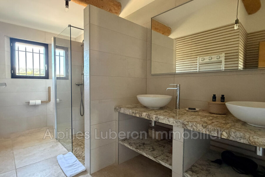 Maison à louer à Eygalières — Vue montagne — photo 39