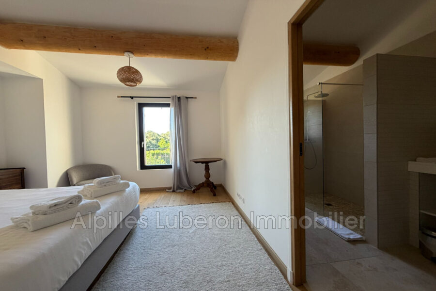 Maison à louer à Eygalières — Vue montagne — photo 41
