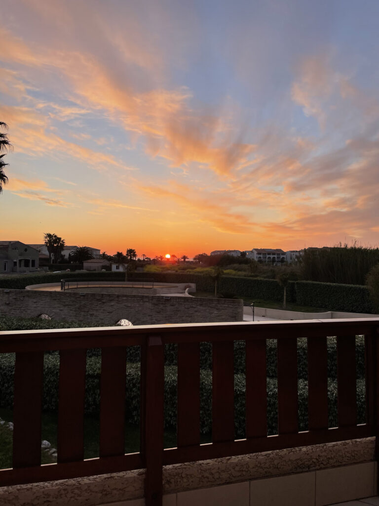 Exceptionnel – Appartement 2 pièces 35m2 avec terrasse 30m2  – 2 pièces – 1 chambre – 35 m²