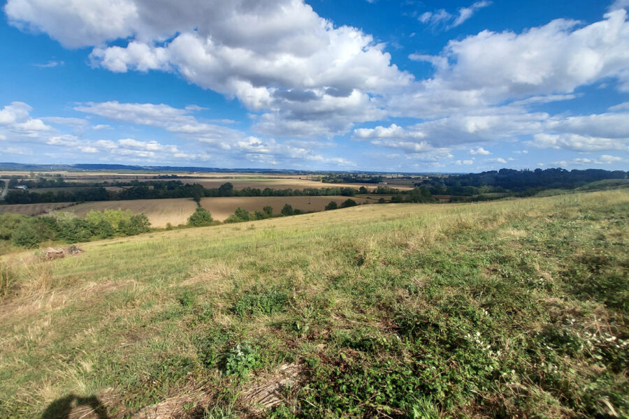 Terrain à vendre à Saverdun