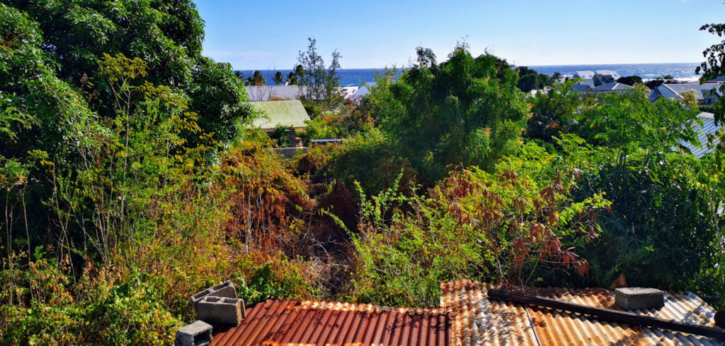 SAINT-LEU, centre-ville – Grand terrain a batir – 1000 m²