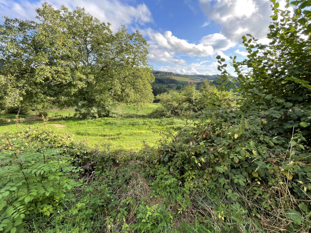 Maison à rénover en camapgne avec dépendance – 5 pièces – 4 chambres – 120 m²