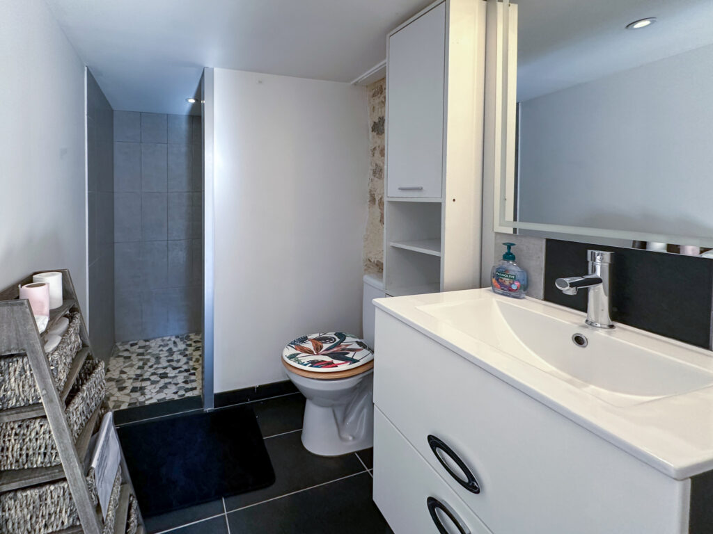 Ancienne Bergerie authentique en pierre de taille  sur un te – 11 pièces – 6 chambres – 310 m²