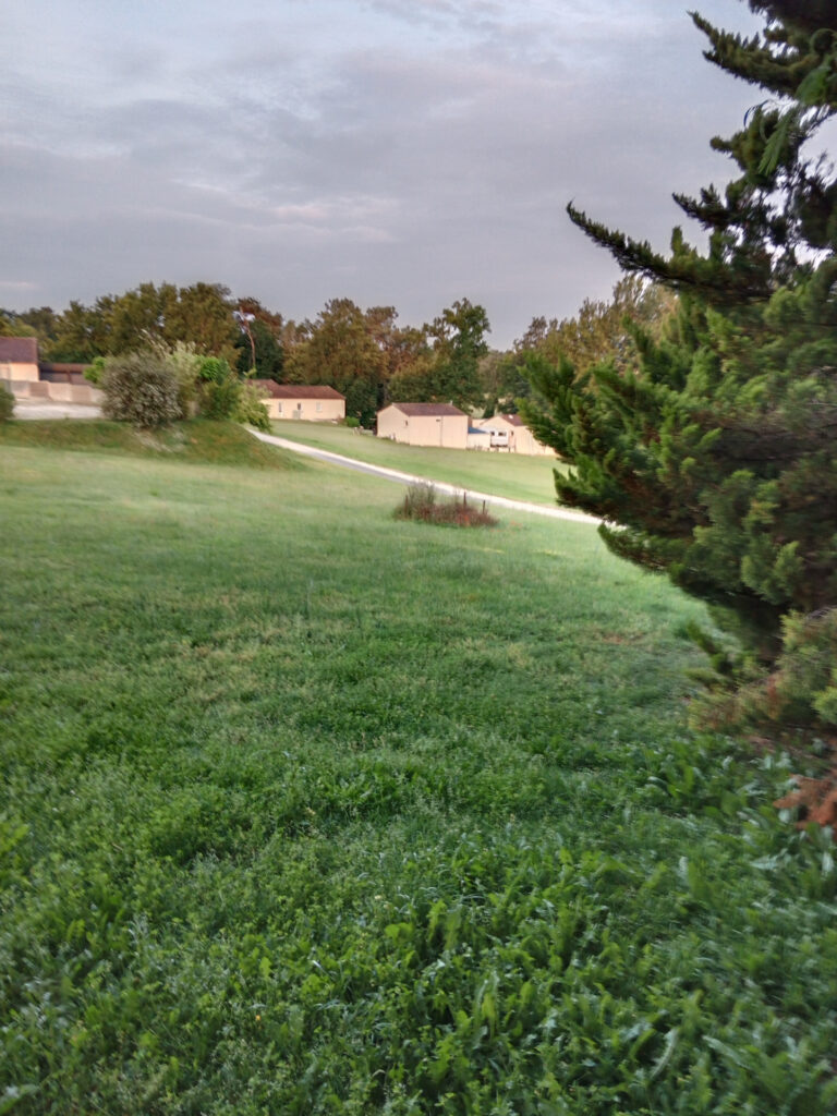 Appartement T2 à Saint-Geniès – 2 pièces – 1 chambre – 37.36 m²