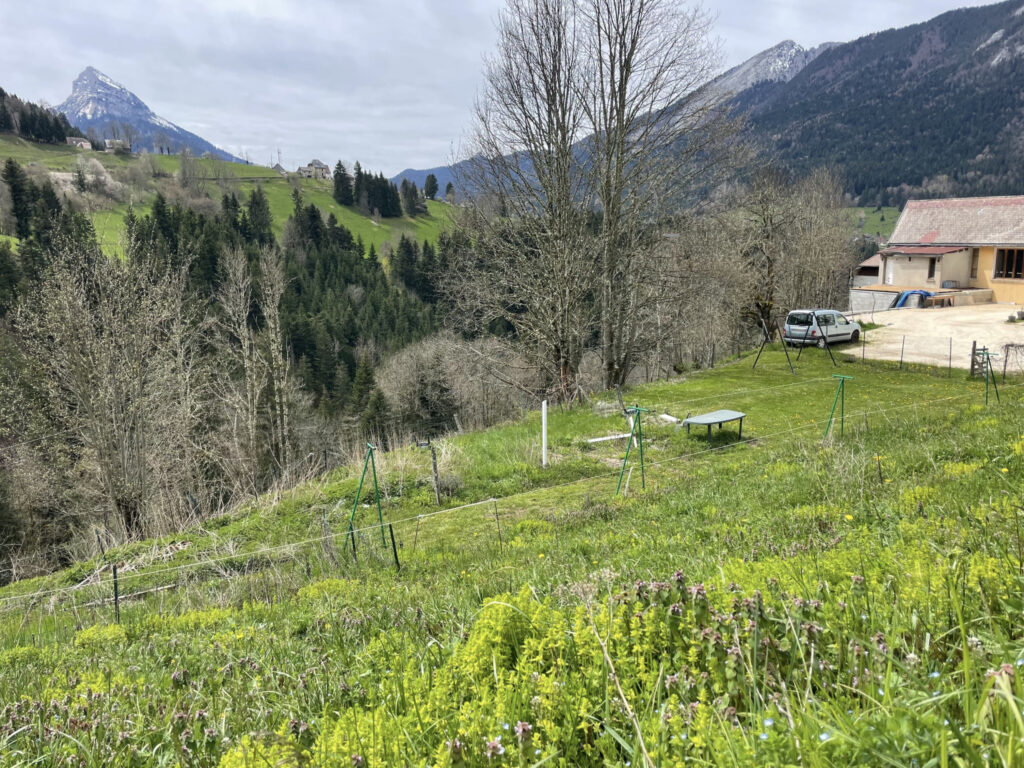 Terrain constructible St Pierre de Chartreuse – 710 m²