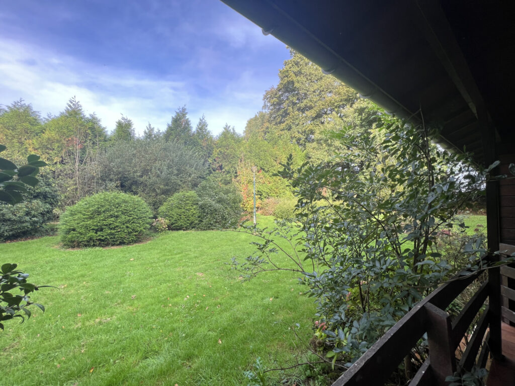 A vendre  chalet  sur terrain de  3600 m2 paysagé – 2 pièces – 1 chambre – 36 m²