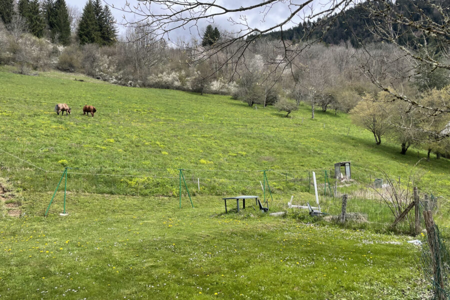 Terrain à vendre à Saint-Pierre-de-Chartreuse