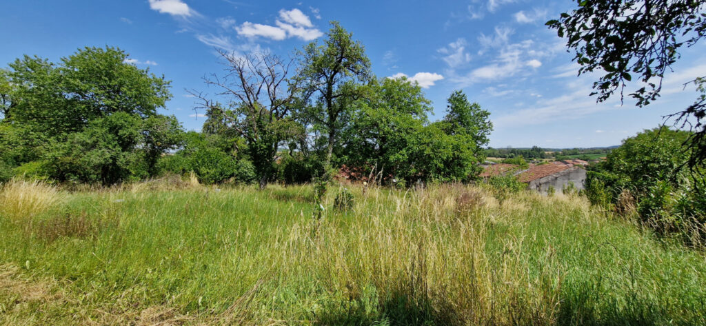 maison année 1858  – 5 pièces – 2 chambres – 123 m²
