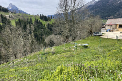 Terrain constructible St Pierre de Chartreuse – NR pièces – NR chambres – 710 m²