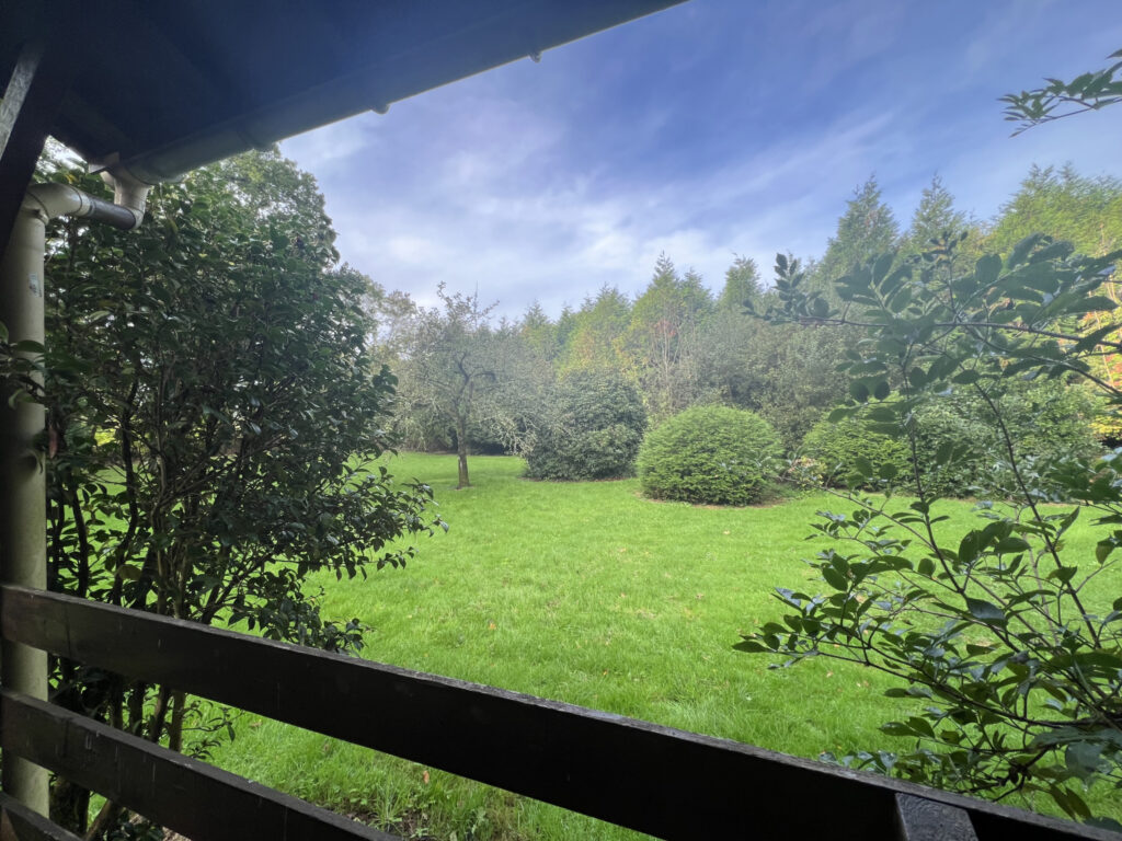 A vendre  chalet  sur terrain de  3600 m2 paysagé – 2 pièces – 1 chambre – 36 m²