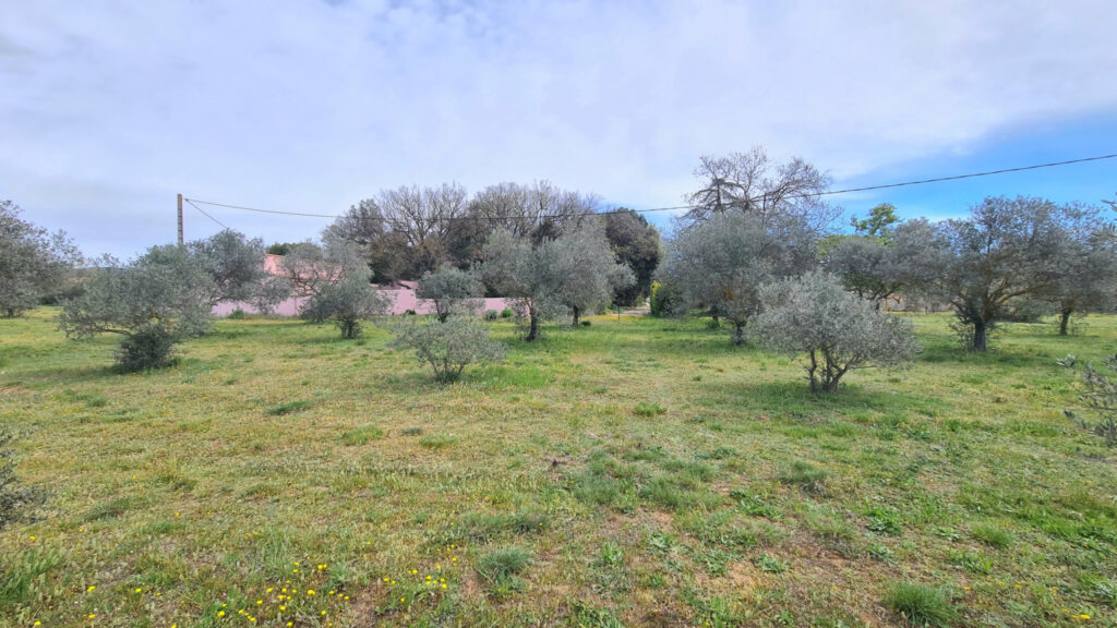 ‘L’OLIVERAIE’ Maison avec piscine  – 4 pièces – 3 chambres – 72.7 m²