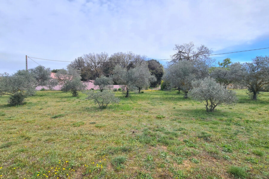 Maison à vendre à Cabrières-d&rsquo;avignon