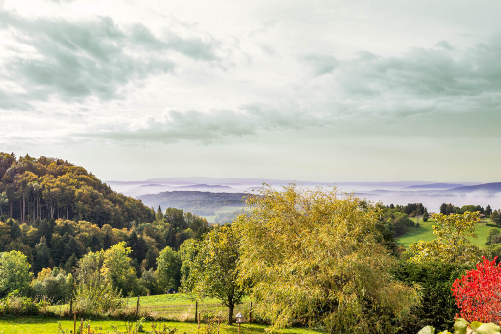 Demeure de charme du XVIIè avec duplex T4 – 16 pièces – 9 chambres – 344 m²