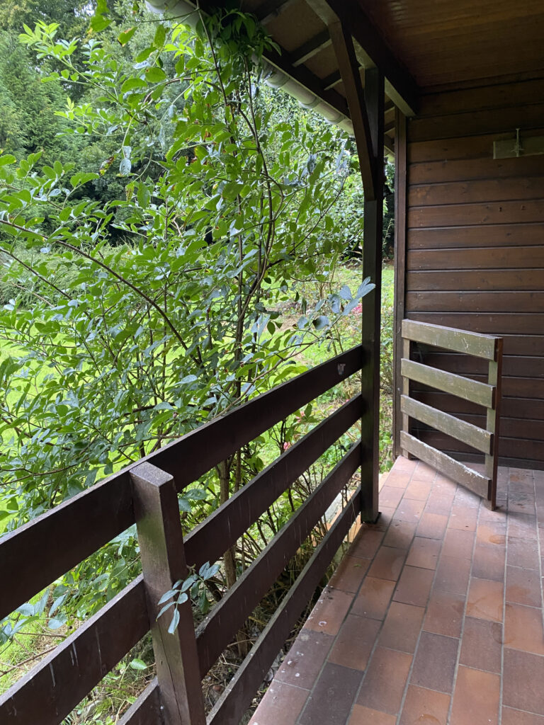 A vendre  chalet  sur terrain de  3600 m2 paysagé – 2 pièces – 1 chambre – 36 m²