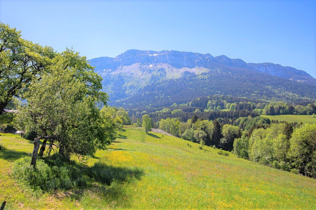 Demeure de charme du XVIIè avec duplex T4 – 16 pièces – 9 chambres – 344 m²