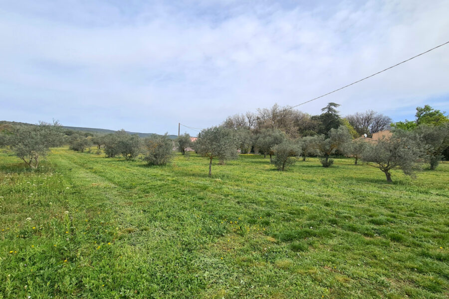 Maison à vendre à Cabrières-d&rsquo;avignon