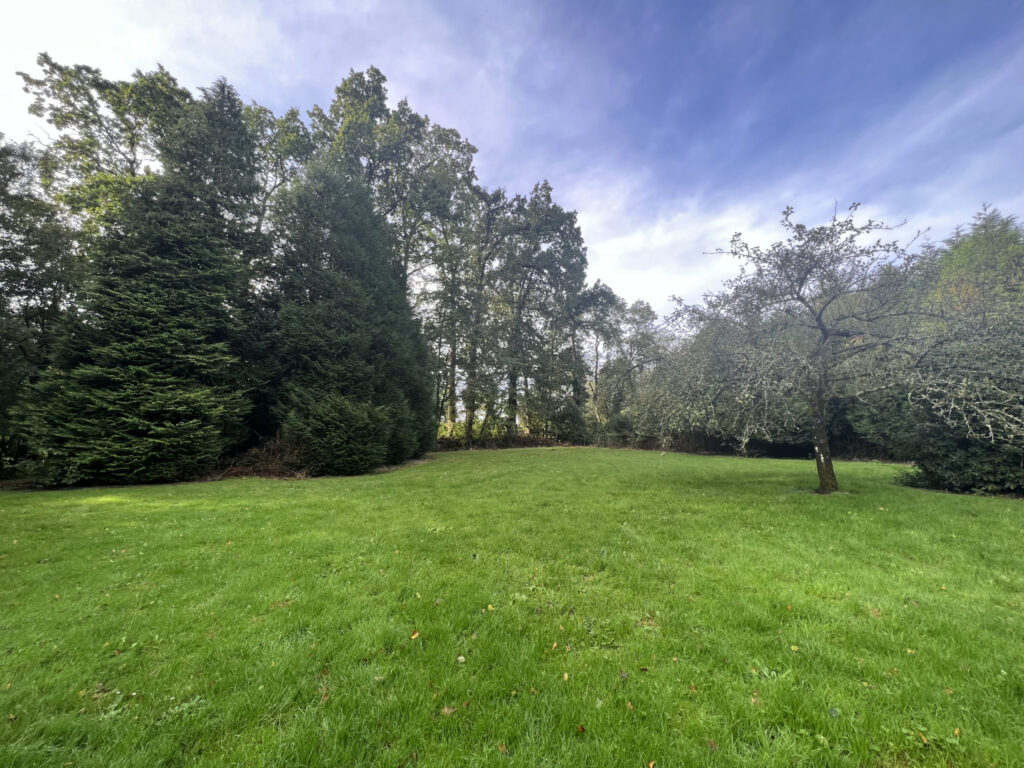 A vendre  chalet  sur terrain de  3600 m2 paysagé – 2 pièces – 1 chambre – 36 m²