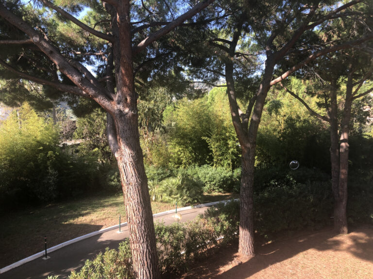 GOLFE JUAN RESIDENTIEL MAGNIFIQUE STUDIO CABINE – 2 pièces – 1 chambre – 36.97 m²