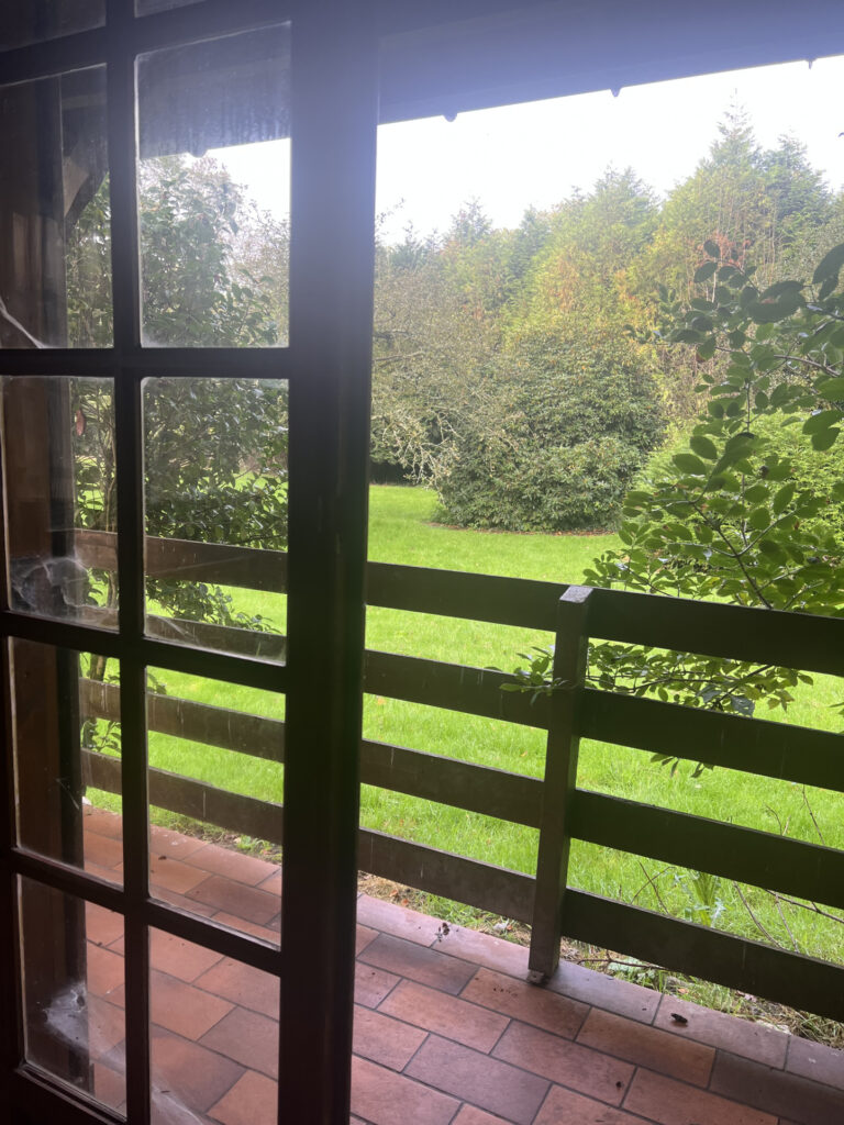 A vendre  chalet  sur terrain de  3600 m2 paysagé – 2 pièces – 1 chambre – 36 m²