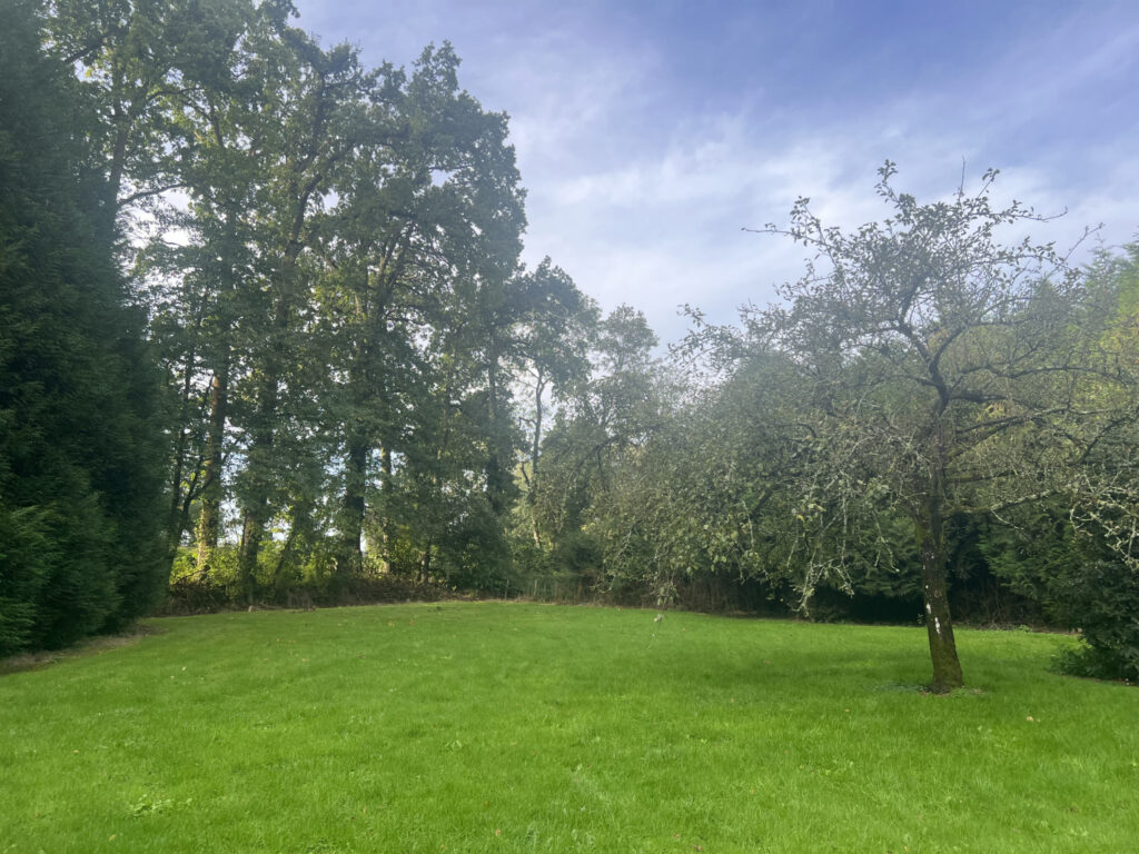 A vendre  chalet  sur terrain de  3600 m2 paysagé – 2 pièces – 1 chambre – 36 m²