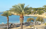 Appartement à louer à Sanary-sur-mer