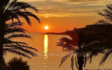 Appartement à louer à Sanary-sur-mer
