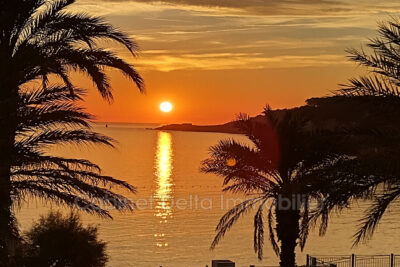 Appartement à louer à Sanary-sur-mer