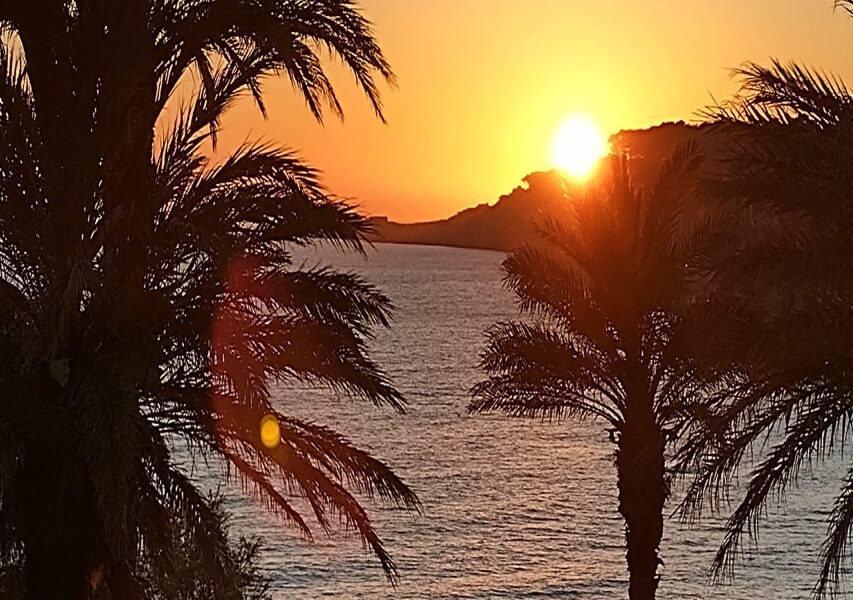 Appartement à louer à Sanary-sur-mer