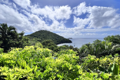 Les Saintes Terre-De-Bas, villa vue mer et piscine. – 4 pièces – 3 chambres – 110.77 m²