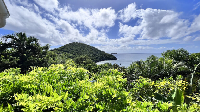 Les Saintes Terre-De-Bas, villa vue mer et piscine. – 4 pièces – 3 chambres – 110.77 m²