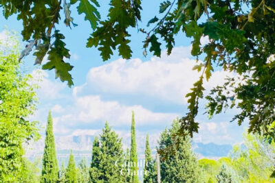 Maison sur Fuveau  avec dépendance + garage au calme absolu  – 4 pièces – 3 chambres – 128 m²