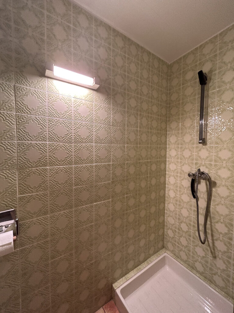 PYRENNES ORIENTALES RARE ET UNIQUE EN VALLESPIR  – 14 pièces – 6 chambres – 410 m²