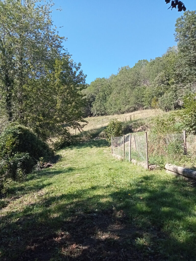 Mas F9 + maison F5 avec forêt à acheter dans le sud de la Fr – 14 pièces – 8 chambres – 230 m²