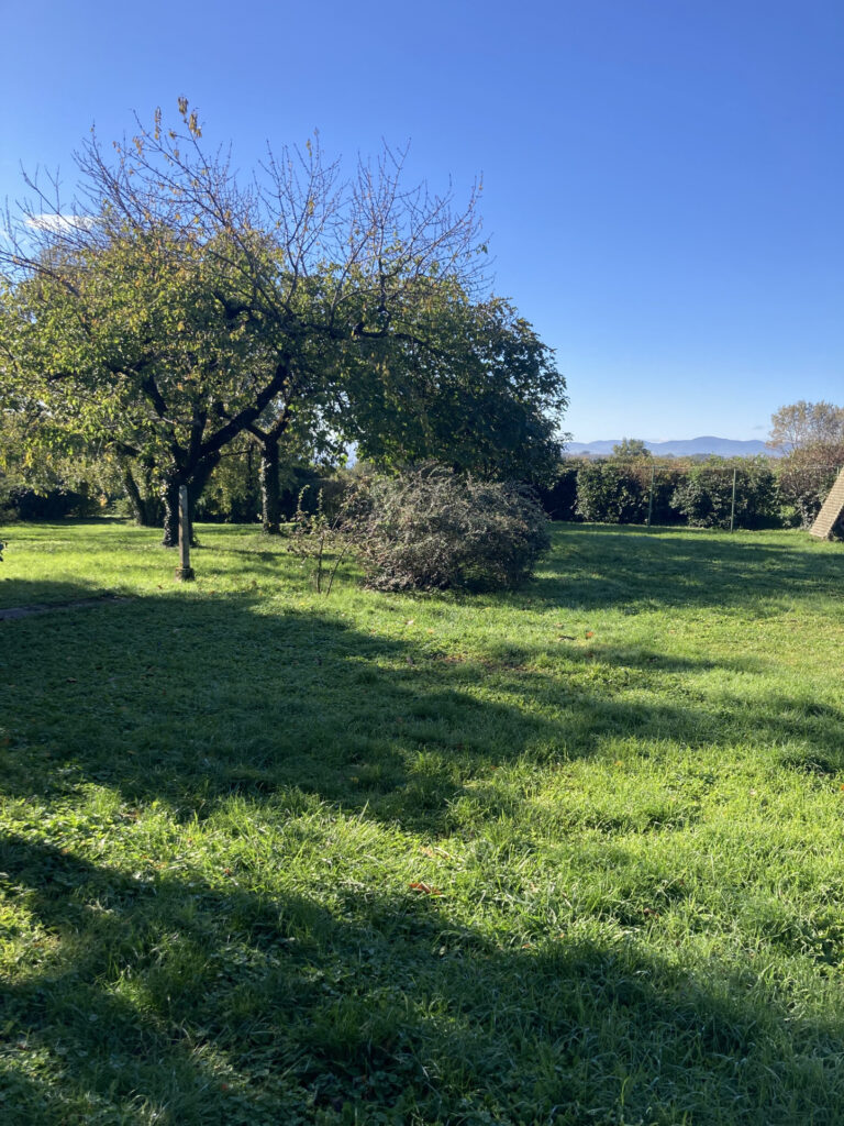 CHALET  – 10 pièces – 6 chambres – 156 m²