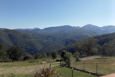 Mas F9 + maison F5 avec forêt à acheter dans le sud de la Fr – 14 pièces – 8 chambres – 230 m²