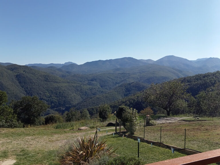 Mas F9 + maison F5 avec forêt à acheter dans le sud de la Fr – 14 pièces – 8 chambres – 230 m²