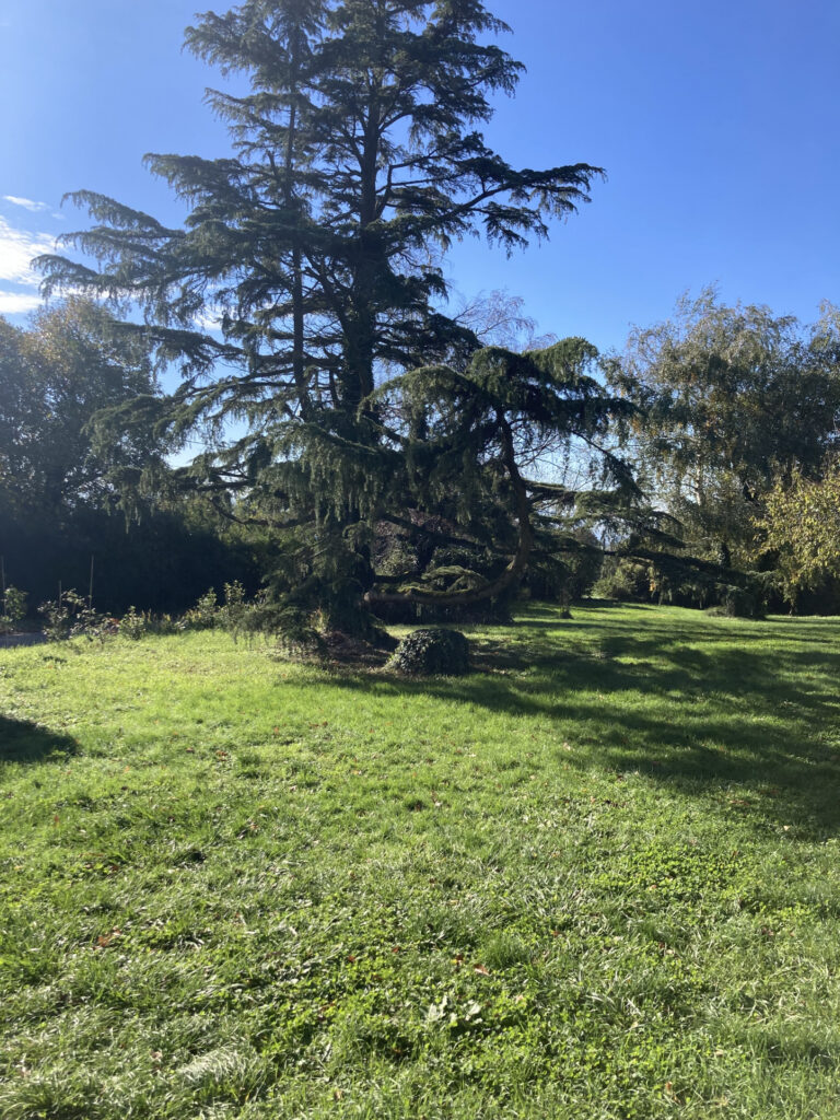 CHALET  – 10 pièces – 6 chambres – 156 m²