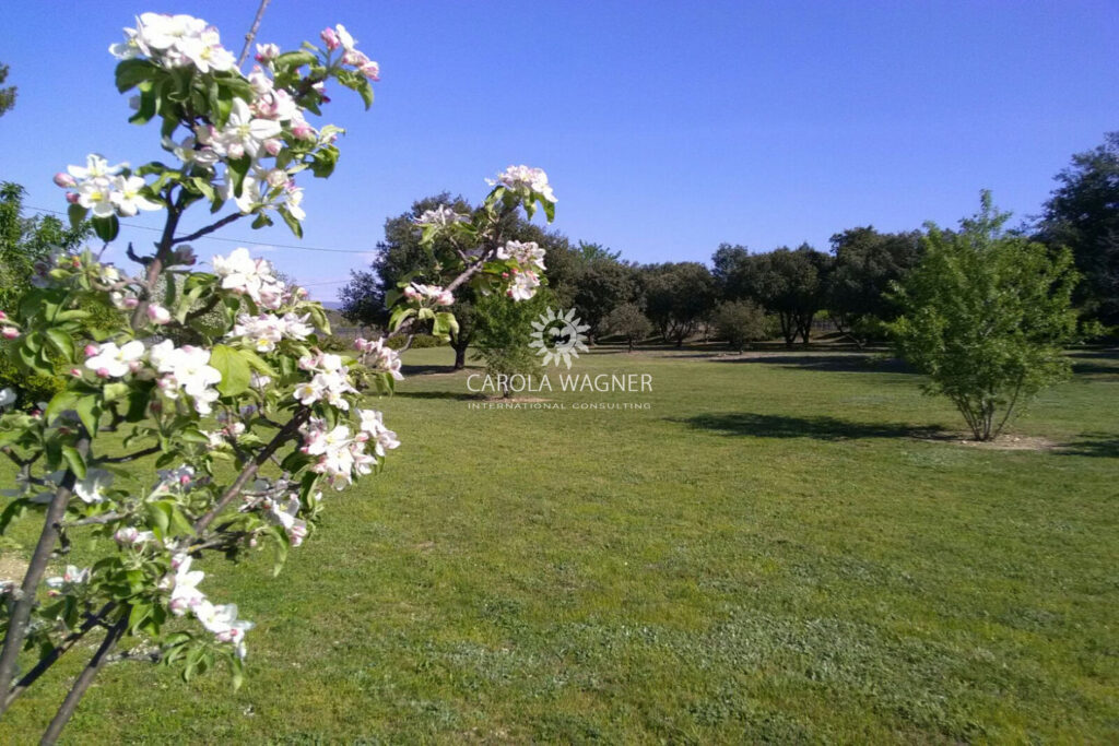 vente villa 8 Pièce(s) – 8 pièces – 4 chambres – 246.00 m²