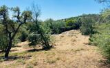 vente terrain – 3000.00 m²
