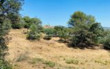 vente terrain – 3000.00 m²