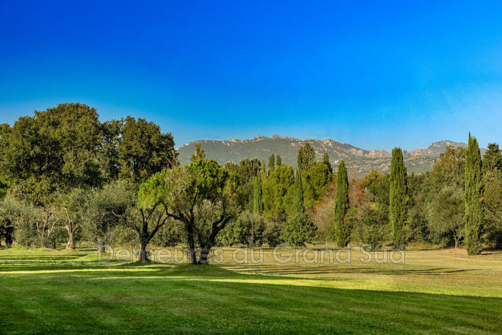 vente maison d&rsquo;hôtes – NR pièces – 9 chambres – 800.00 m²